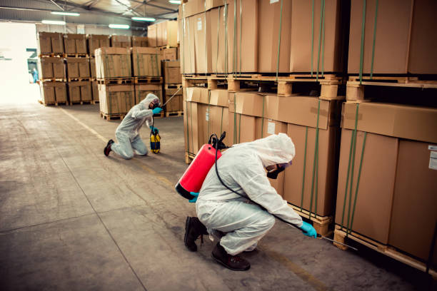 Best Termite Control Services  in Guttenberg, NJ