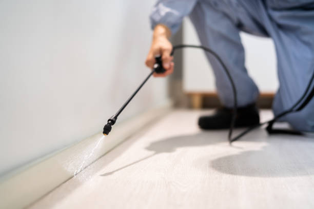 Best Residential Pest Control  in Guttenberg, NJ