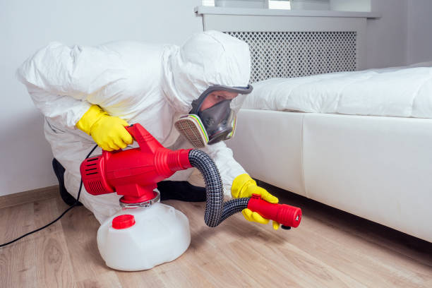 Best Insect Control  in Guttenberg, NJ