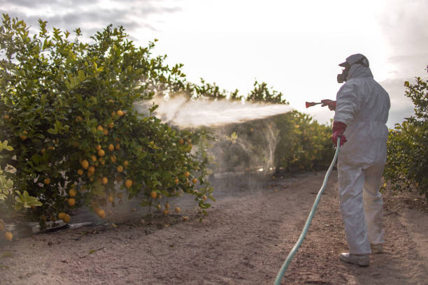 Wildlife Control Services in Guttenberg, NJ