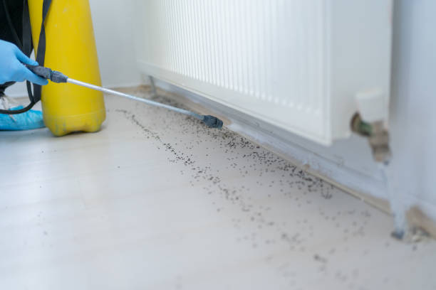 Guttenberg, NJ Pest Control Company