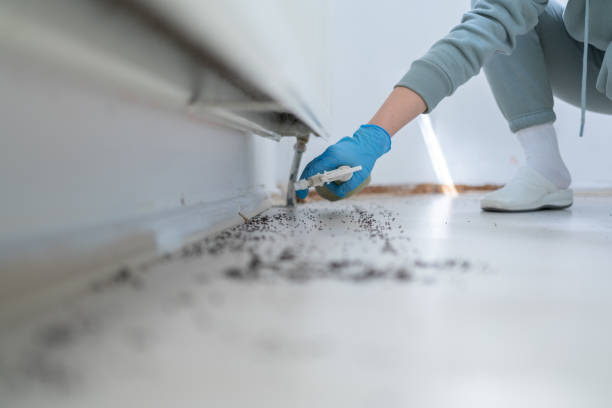 Best Best Pest Control Companies  in Guttenberg, NJ